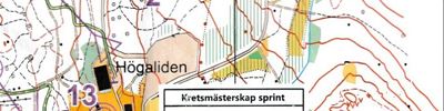 Kretsmästerskap sprint