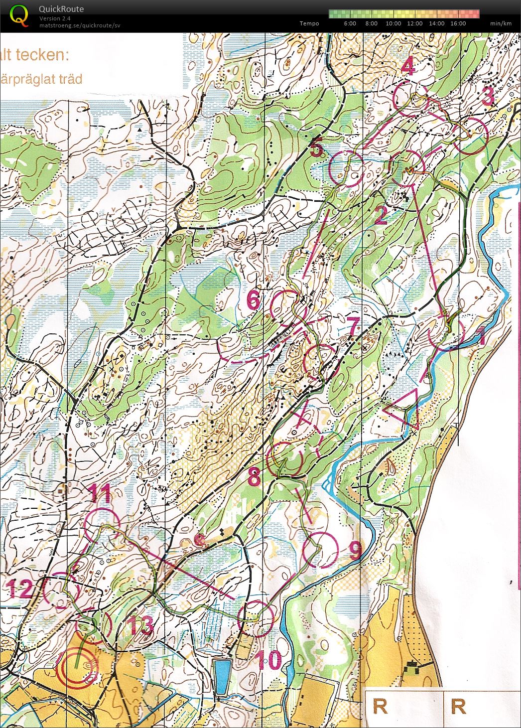 Ultraträffen medel (2013-08-03)