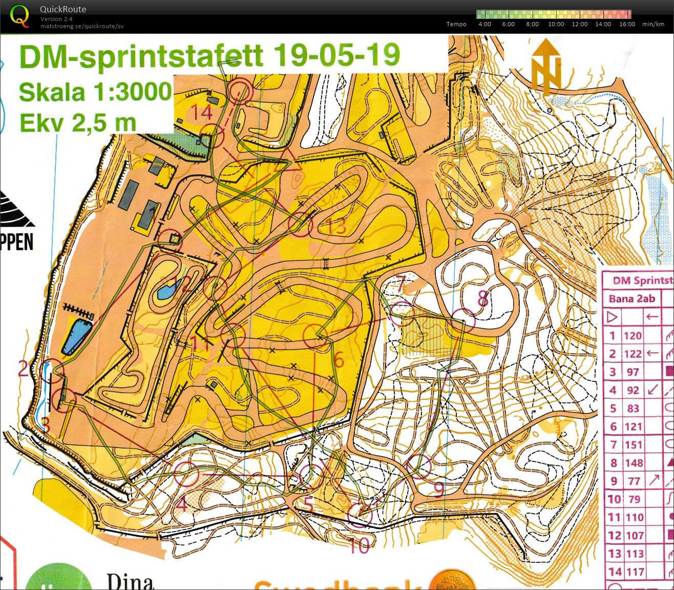 DM Sprintstafett (19-05-2019)