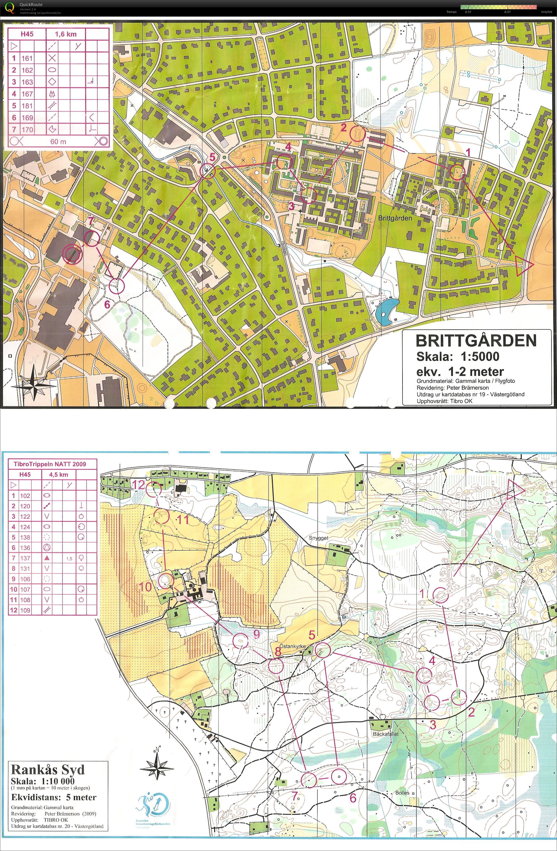 Tibrotrippeln natt (2009-03-27)