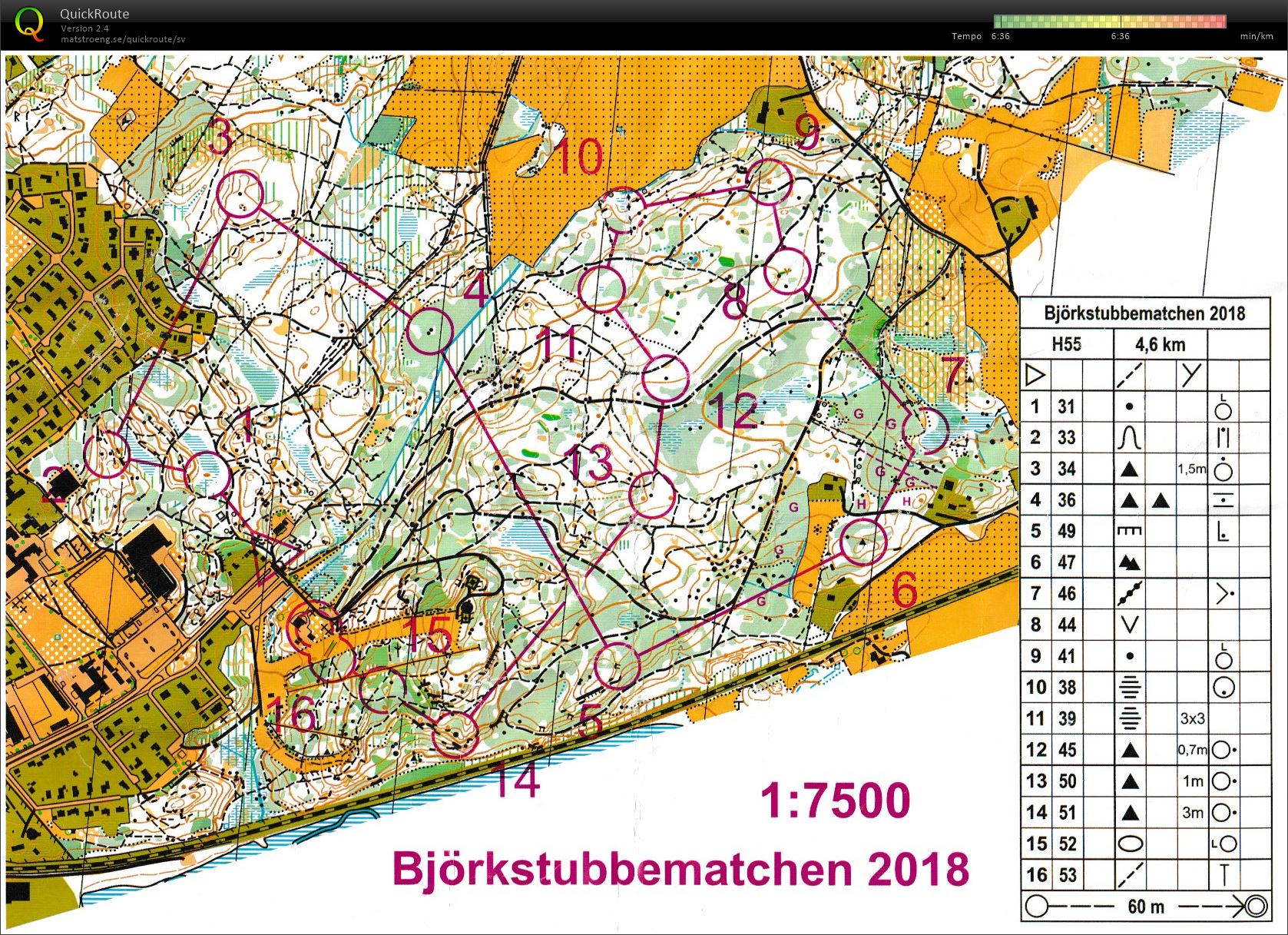 Björkstubbematchen (25.05.2018)